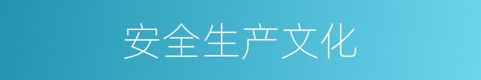 安全生产文化的同义词