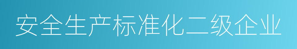 安全生产标准化二级企业的同义词