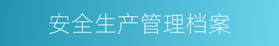 安全生产管理档案的同义词