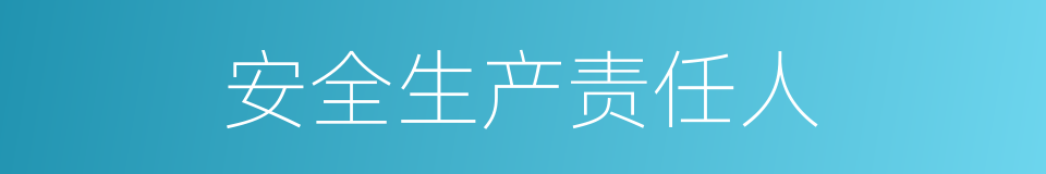 安全生产责任人的同义词