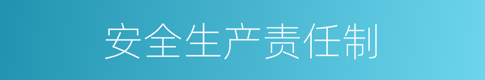 安全生产责任制的同义词