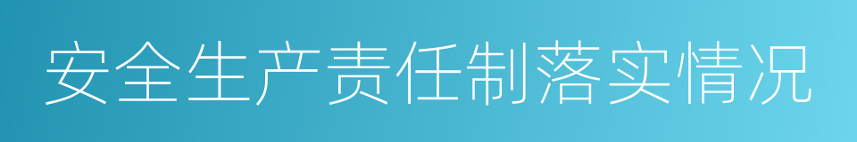 安全生产责任制落实情况的同义词