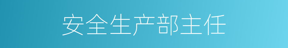 安全生产部主任的同义词