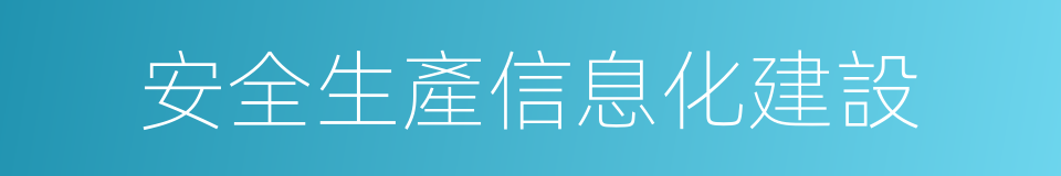 安全生產信息化建設的同義詞