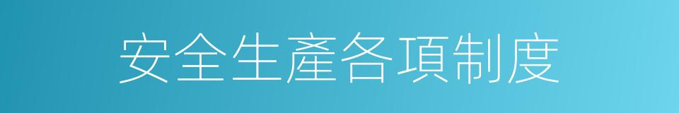 安全生產各項制度的同義詞