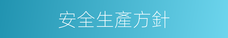 安全生產方針的同義詞