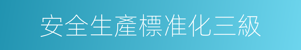 安全生產標准化三級的同義詞