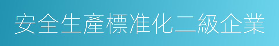 安全生產標准化二級企業的同義詞