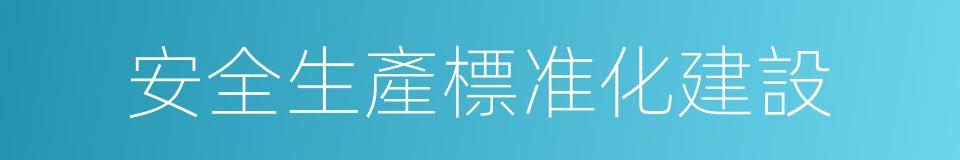 安全生產標准化建設的同義詞