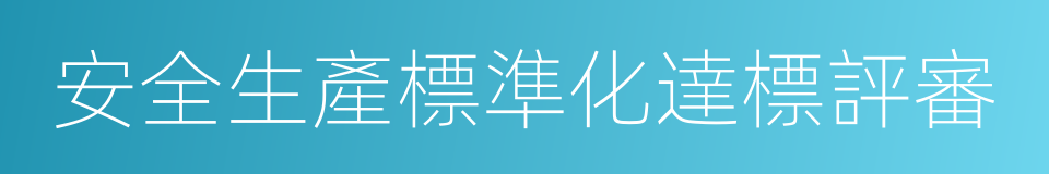 安全生產標準化達標評審的同義詞