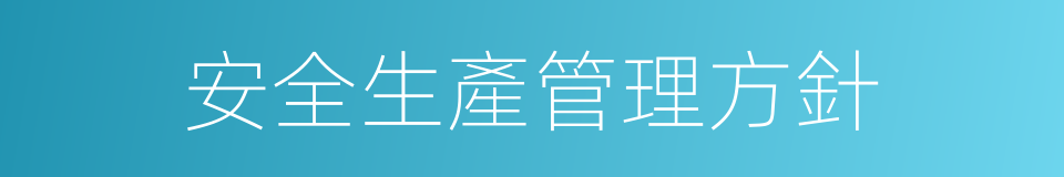 安全生產管理方針的同義詞