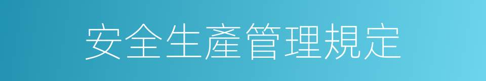 安全生產管理規定的同義詞