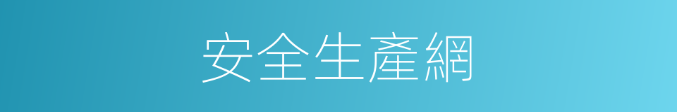 安全生產網的同義詞