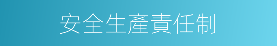安全生產責任制的同義詞