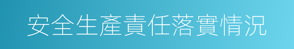 安全生產責任落實情況的同義詞