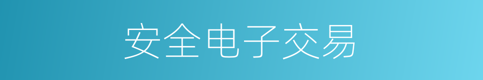安全电子交易的同义词