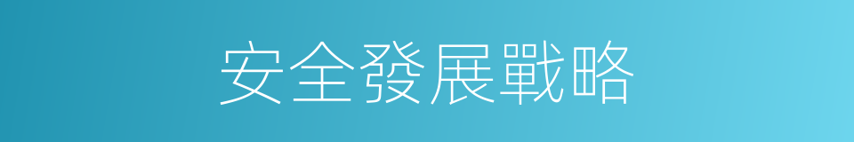 安全發展戰略的同義詞