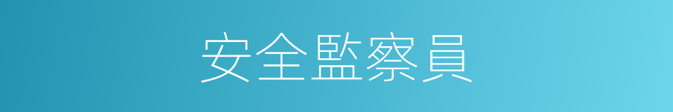 安全監察員的同義詞