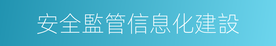 安全監管信息化建設的同義詞