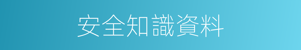安全知識資料的同義詞
