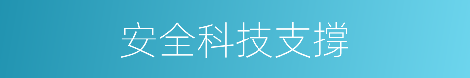 安全科技支撐的同義詞