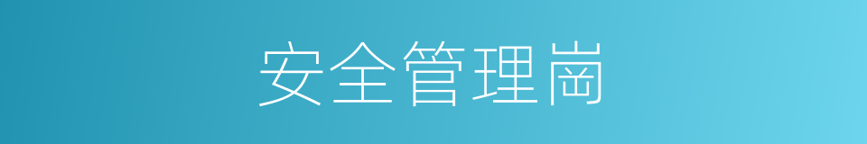 安全管理崗的同義詞