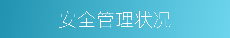 安全管理状况的同义词
