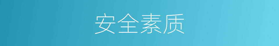 安全素质的同义词