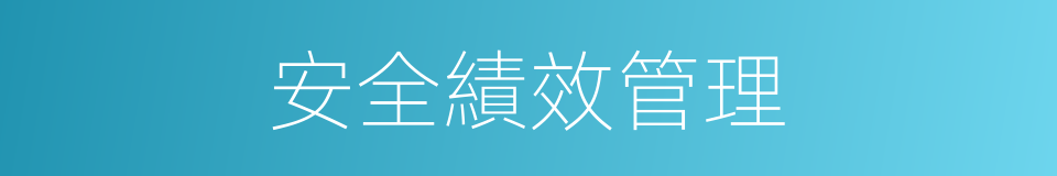 安全績效管理的同義詞