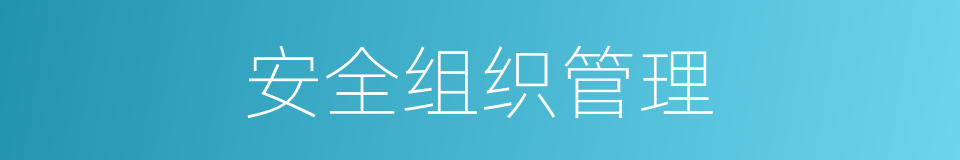 安全组织管理的同义词