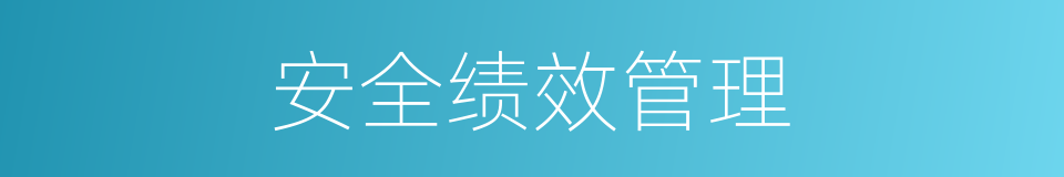 安全绩效管理的同义词