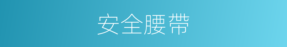安全腰帶的同義詞
