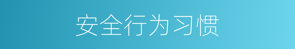 安全行为习惯的同义词