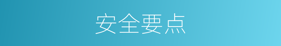 安全要点的同义词