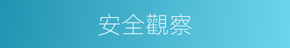 安全觀察的同義詞