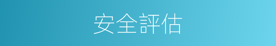 安全評估的同義詞
