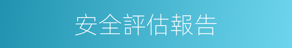 安全評估報告的同義詞