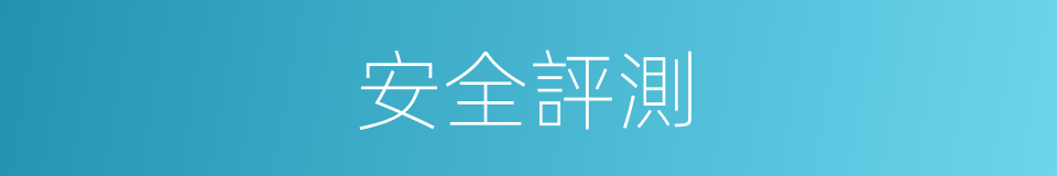 安全評測的同義詞