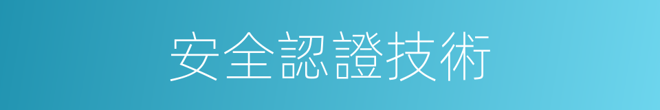 安全認證技術的同義詞