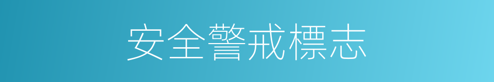 安全警戒標志的同義詞
