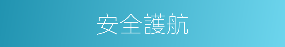 安全護航的同義詞