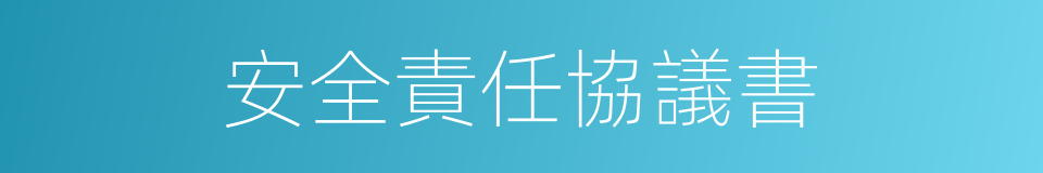 安全責任協議書的同義詞