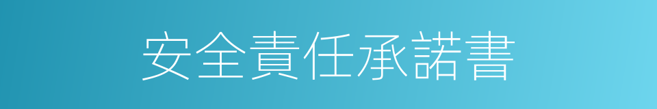 安全責任承諾書的同義詞