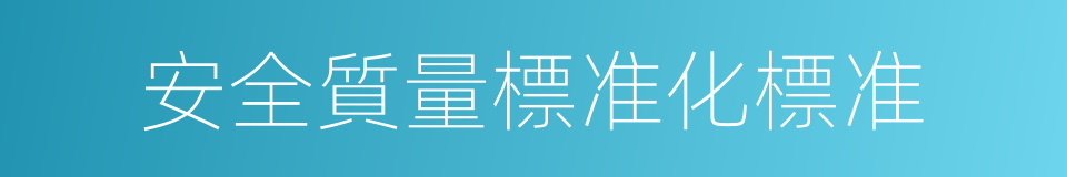 安全質量標准化標准的同義詞