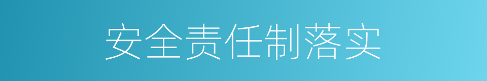 安全责任制落实的同义词