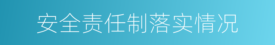 安全责任制落实情况的同义词