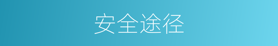 安全途径的同义词