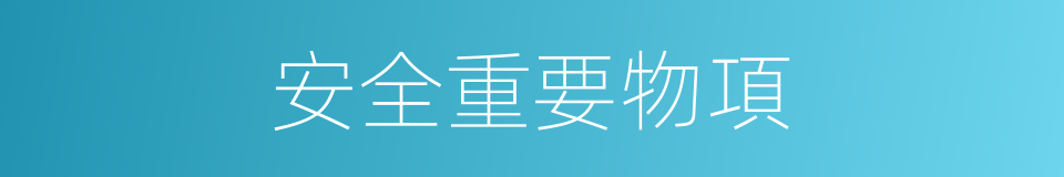 安全重要物項的同義詞