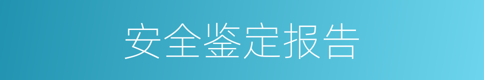 安全鉴定报告的同义词