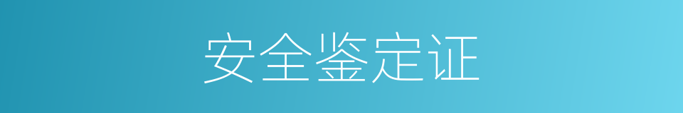 安全鉴定证的同义词